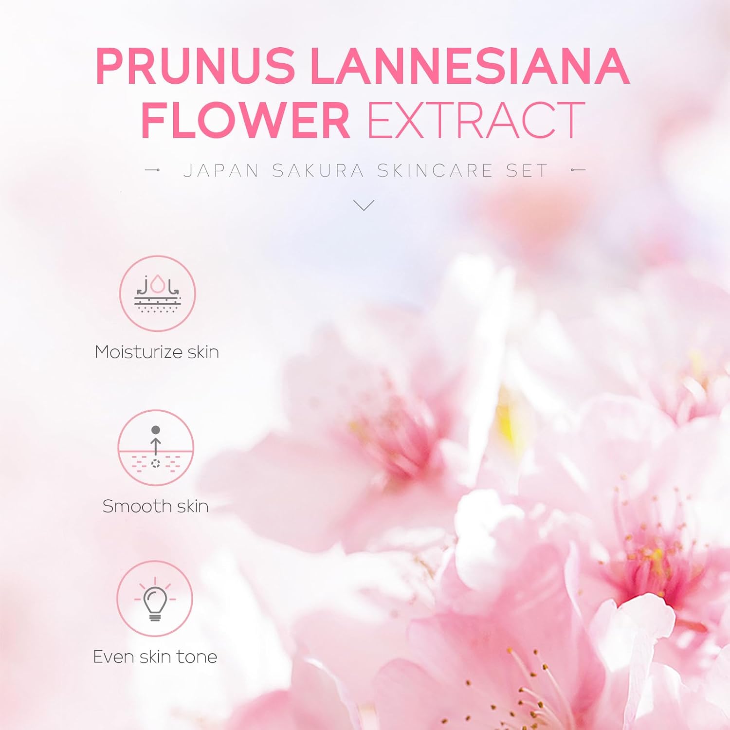 Sakura Glow Beauty Set
